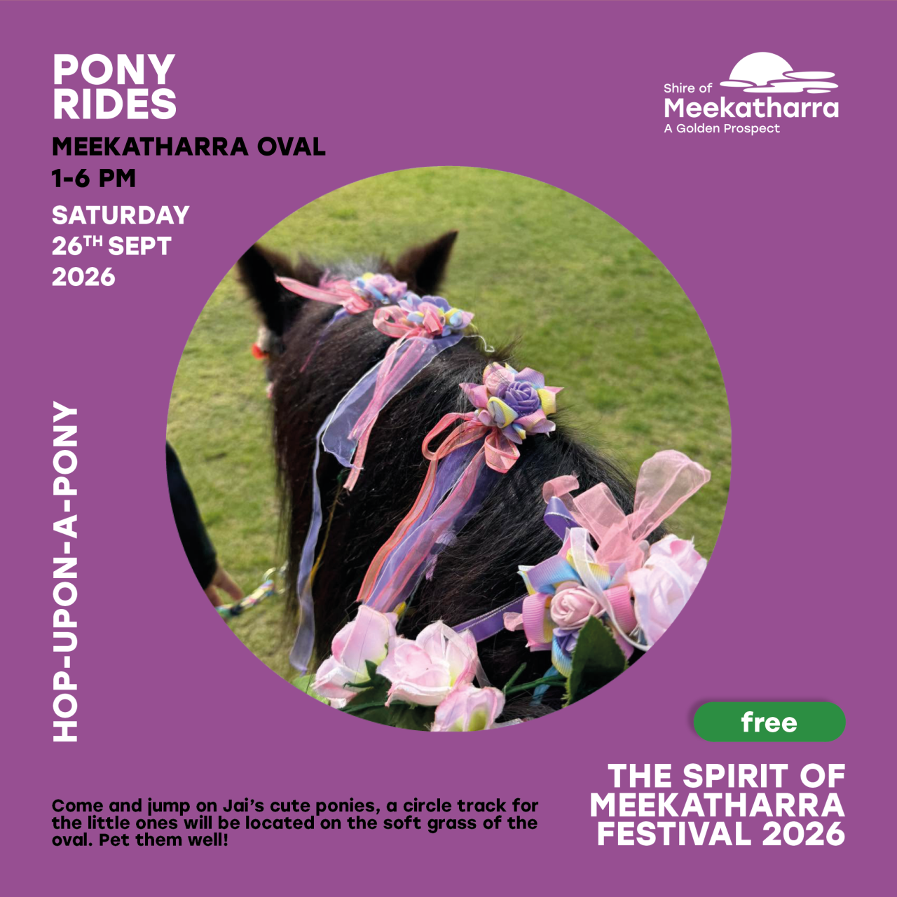 Pony Rides