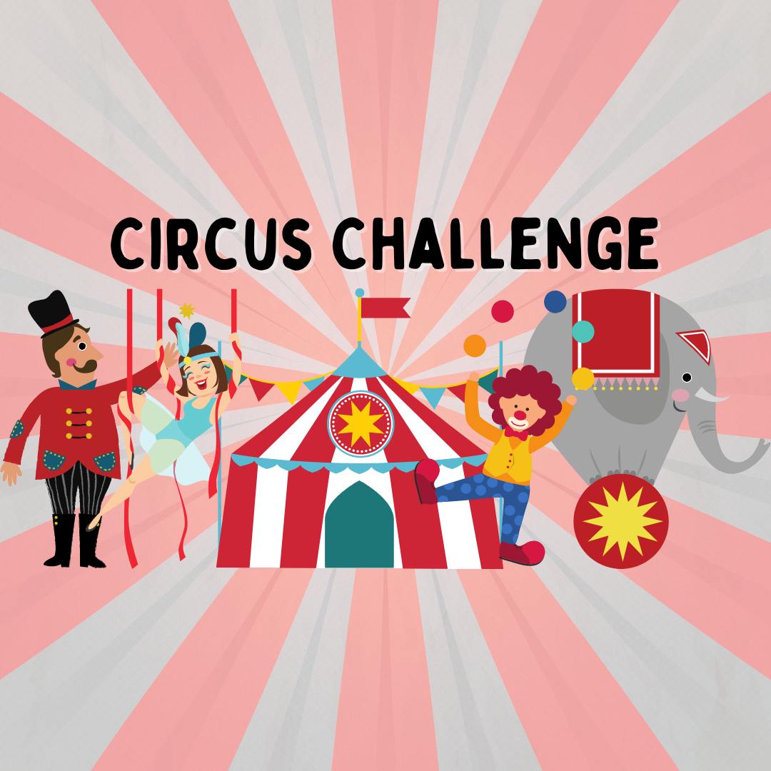 Circus Challenge Workshops and Performance